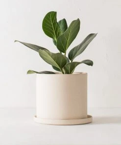 Convivial Minimal Stoneware Planter
