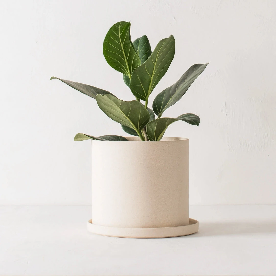 Convivial Minimal Stoneware Planter Convivial Minimal Stoneware Planter