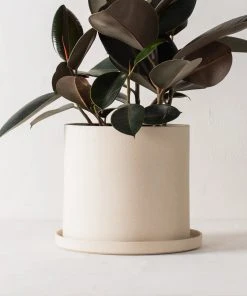 Convivial Minimal Stoneware Planter 6 Convivial Minimal Stoneware Planter