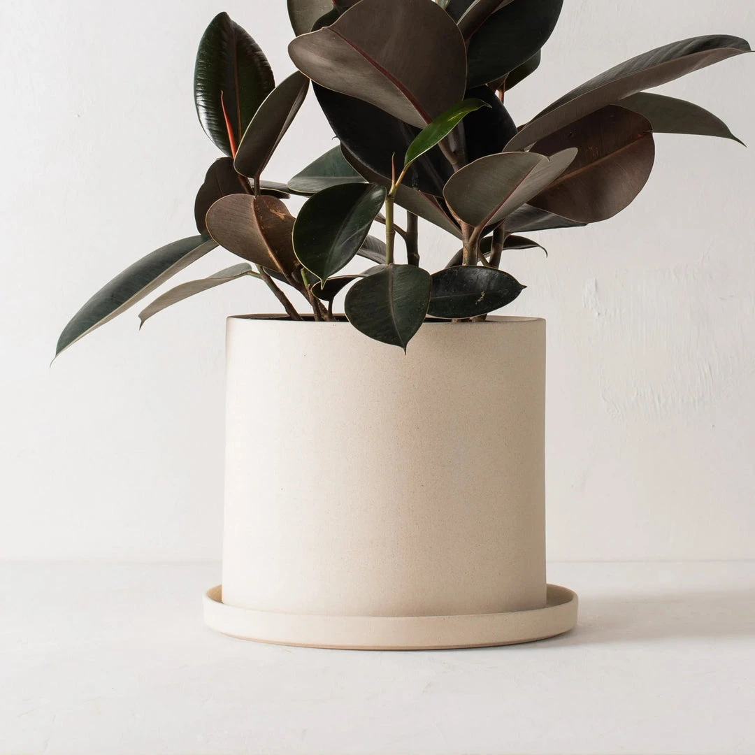 Convivial Minimal Stoneware Planter Convivial Minimal Stoneware Planter