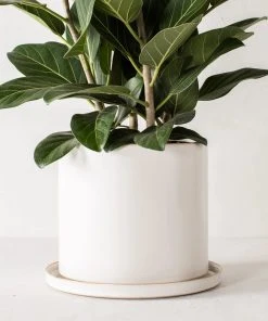 Convivial Minimal Stoneware Planter 8 Convivial Minimal Stoneware Planter