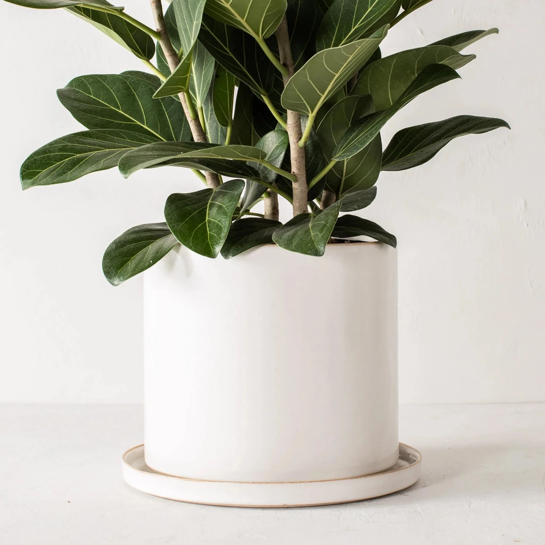 Convivial Minimal Stoneware Planter Convivial Minimal Stoneware Planter