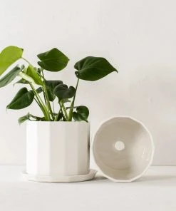 Convivial Riveted Porcelain Planter