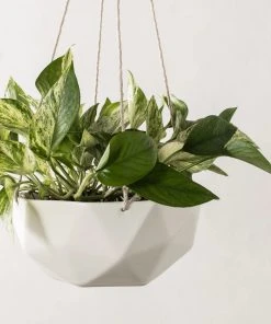 Convivial New Arrivals Geometric Porcelain Hanging Planter