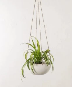 Convivial Minimal Stoneware Hanging Planter New Arrivals