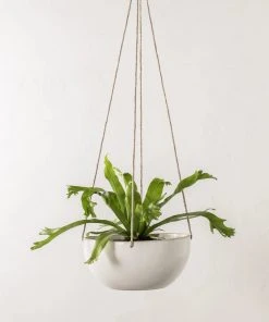 Convivial Minimal Stoneware Hanging Planter New Arrivals