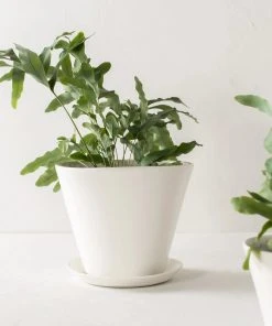 Convivial Ivory Porcelain Planter 2 Convivial Ivory Porcelain Planter