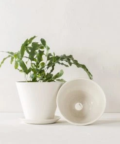 Convivial Ivory Porcelain Planter