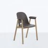 Emeco Alfi Recycled Armchair - Ash