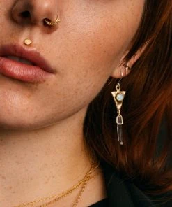 Iron Oxide Dart And Crystal Drop Earrings