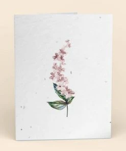 Cute Root Greeting Cards Assorted Botanical Plantable Cards - 8 Pack