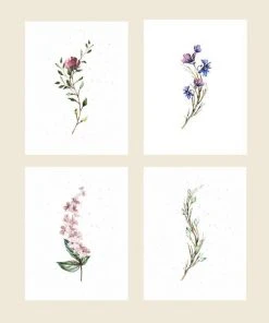 Cute Root Greeting Cards Assorted Botanical Plantable Cards - 8 Pack