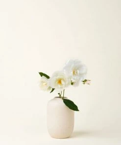 August Sage Ana Paula Bud Vase - Tierra Home Goods