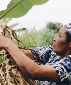 Azizi Life Parker Banana Leaf Trays 13 Azizi Life Parker Banana Leaf Trays