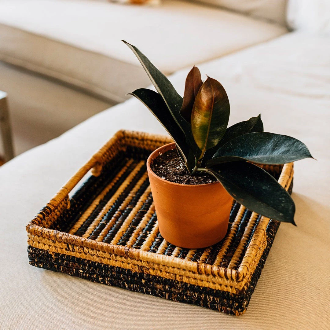 Azizi Life Parker Banana Leaf Trays Azizi Life Parker Banana Leaf Trays