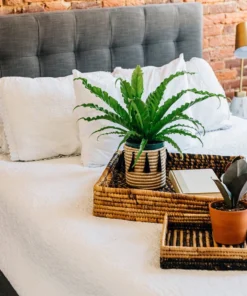 Azizi Life Parker Banana Leaf Trays 5 Azizi Life Parker Banana Leaf Trays