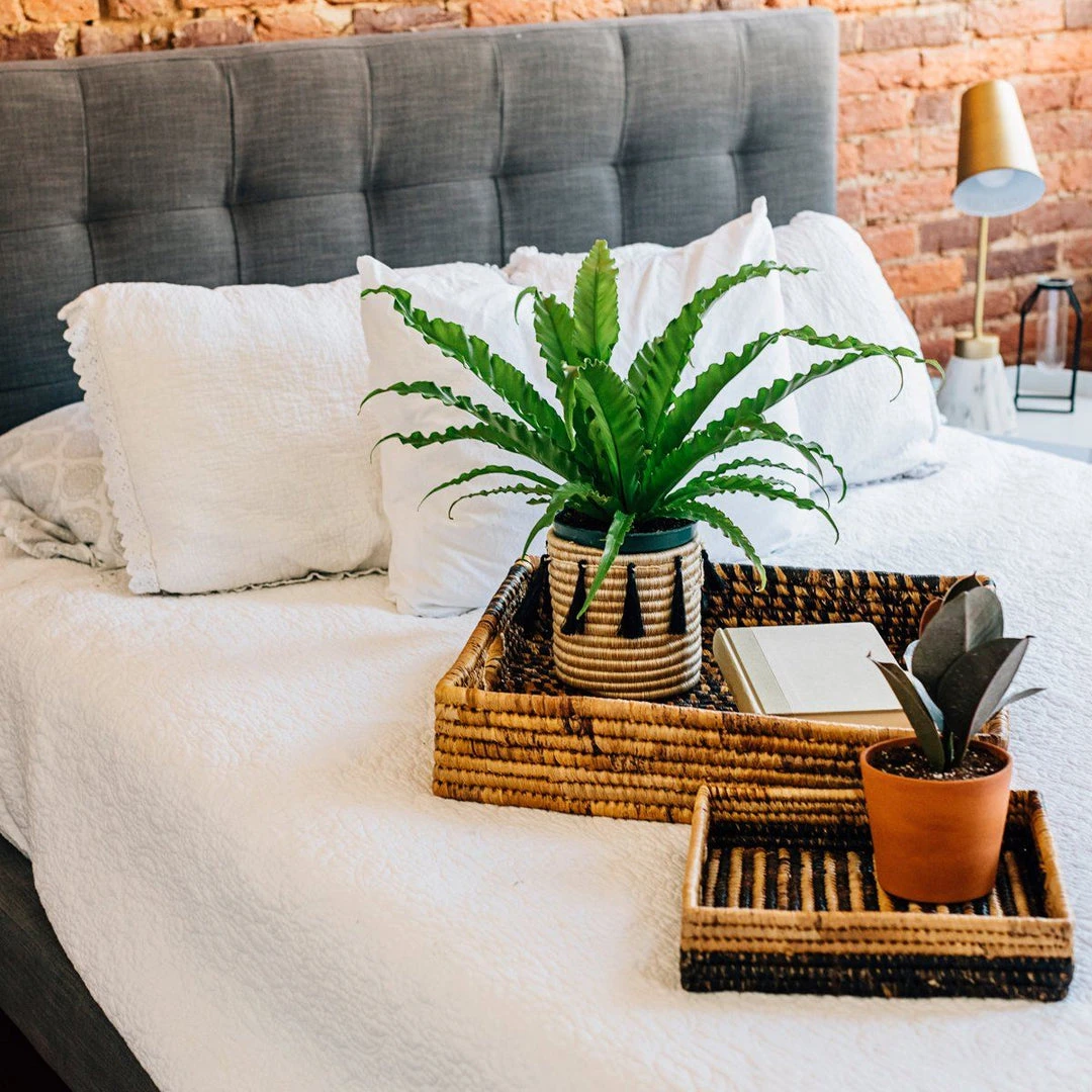 Azizi Life Parker Banana Leaf Trays Azizi Life Parker Banana Leaf Trays