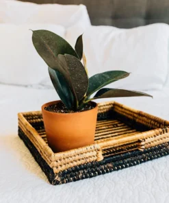 Azizi Life Parker Banana Leaf Trays 9 Azizi Life Parker Banana Leaf Trays