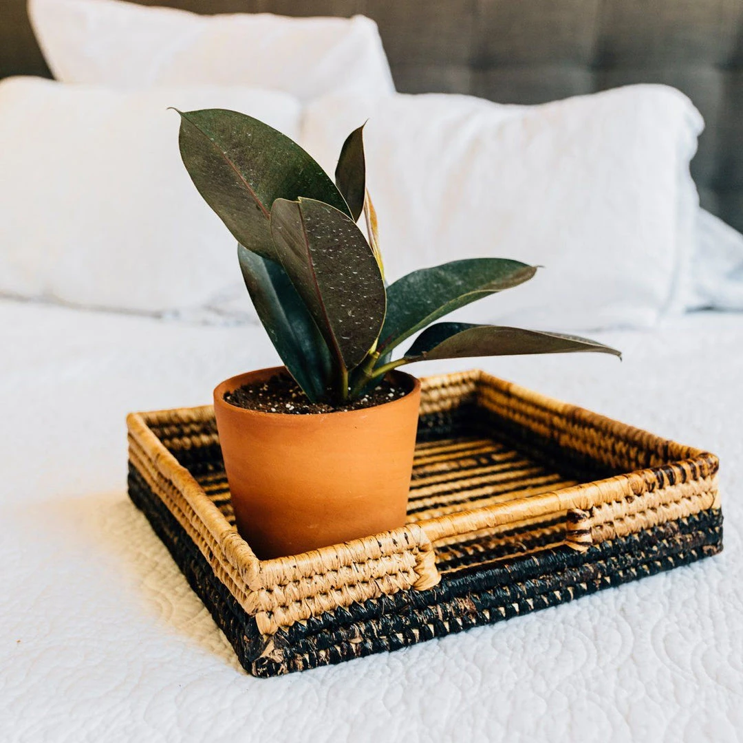 Azizi Life Parker Banana Leaf Trays Azizi Life Parker Banana Leaf Trays