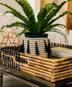 Azizi Life Parker Banana Leaf Trays 6 Azizi Life Parker Banana Leaf Trays