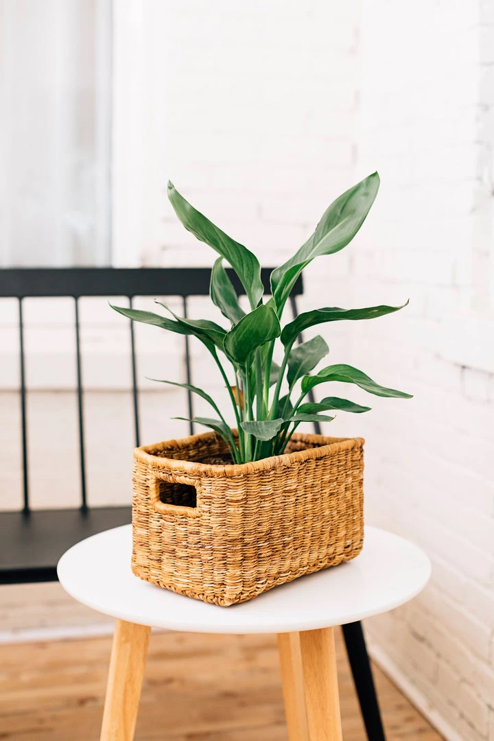 Azizi Life Banana Twine Demi Panier Best Sellers Azizi Life Banana Twine Demi Panier Best Sellers