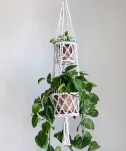Ceremonia Best Sellers Double Basket Plant Hanger - Cream