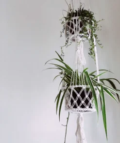 Ceremonia Best Sellers Double Basket Plant Hanger - Cream