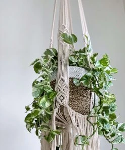 Ceremonia Large Darling Macramé Plant Hanger Best Sellers 1 Ceremonia Large Darling Macramé Plant Hanger Best Sellers