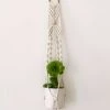 Ceremonia Best Sellers Small Macramé Plant Hanger