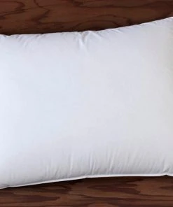 Coyuchi Feather/Down Pillow
