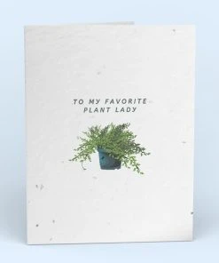 Cute Root My Favorite Plant Lady Plantable Cards - 10 Pack Greeting Cards