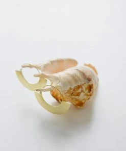 Abby Alley Jewelry Dawson Earrings 2 Abby Alley Jewelry Dawson Earrings