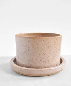 Katie Mudd Desert Dust Stoneware Planter Set Best Sellers