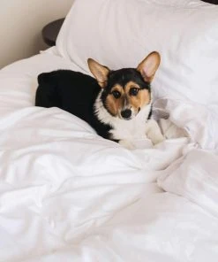 Eucalypso Deluxe Tencel Eucalyptus Sleep Bundle