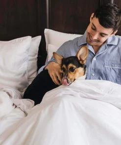 Eucalypso Deluxe Tencel Eucalyptus Sleep Bundle