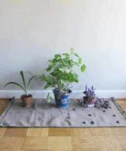 Ichcha Triangle Wool Dhurrie Rug