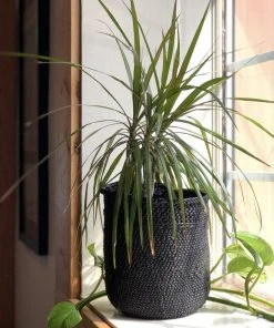 Mbare Best Sellers Iringa Baskets - Rich Black