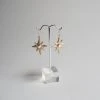 Iron Oxide Polaris Single-Star Earrings