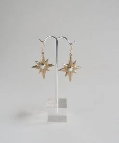 Iron Oxide Polaris Single-Star Earrings