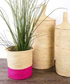 KAZI Fuschia Planter