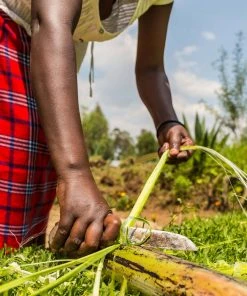 KAZI Small Silver Blue Biko Round Basket