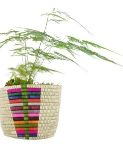 KAZI Chromatic Tapered Planter Basket