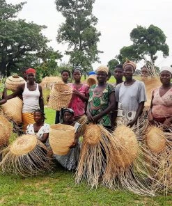 KAZI All Natural Gourd Birdhouse Best Sellers