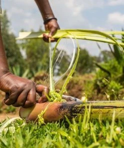 KAZI Black Spotted Storage Basket