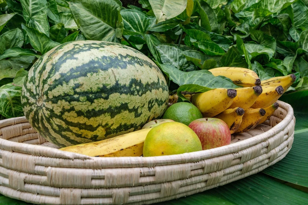 KAZI Natural Raffia Patterned Oval Tray Home Goods KAZI Natural Raffia Patterned Oval Tray Home Goods