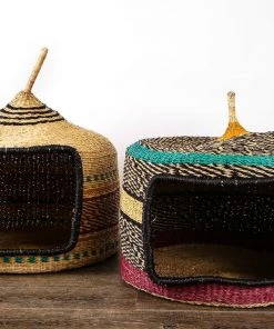 KAZI Neon Short Pet Hut Pet Accessories