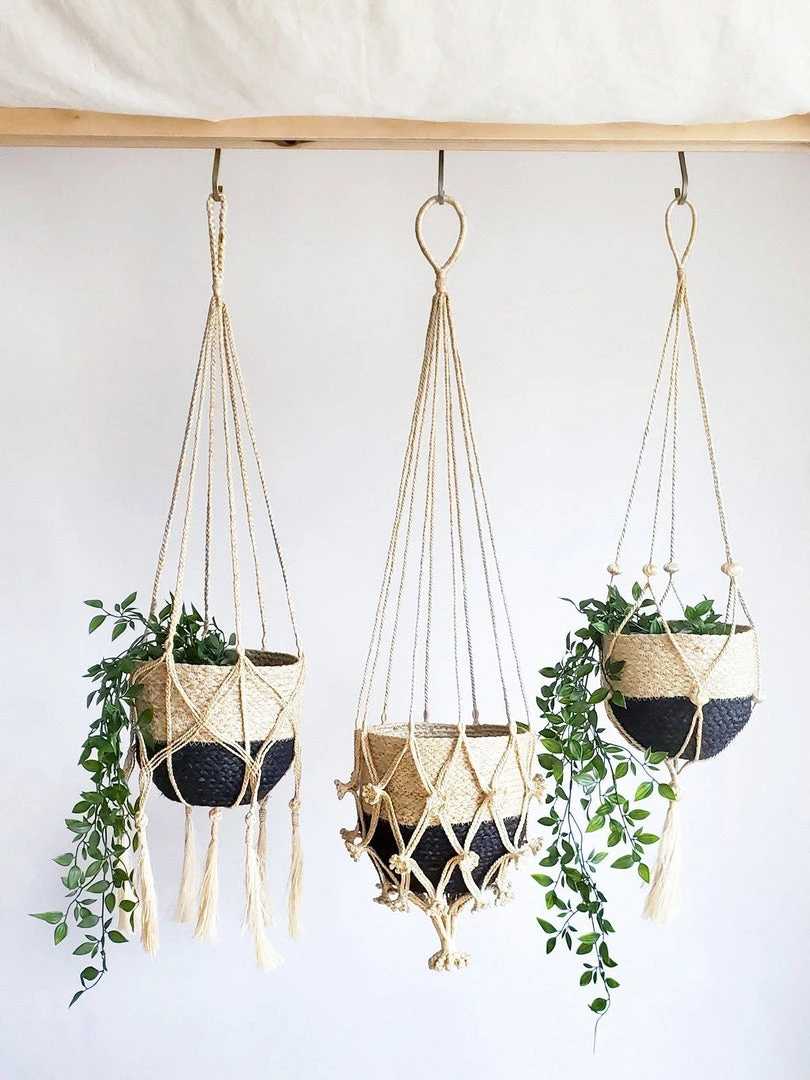 Korissa Shuly Plant Hanger Korissa Shuly Plant Hanger