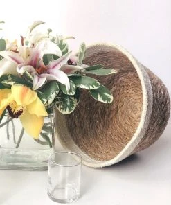 Korissa Savar Plant Bowl Set Home Goods