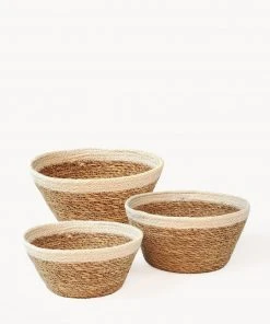 Korissa Savar Plant Bowl Set Home Goods