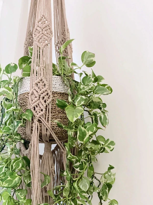 Ceremonia Large Darling Macramé Plant Hanger Best Sellers Ceremonia Large Darling Macramé Plant Hanger Best Sellers